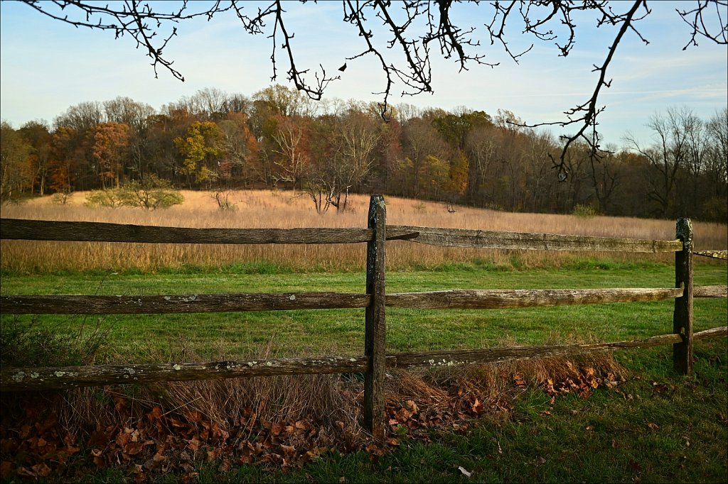 Jockey Hollow