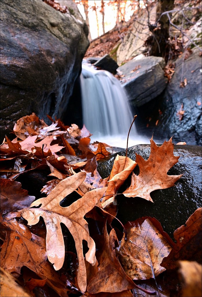 Hedden County Park