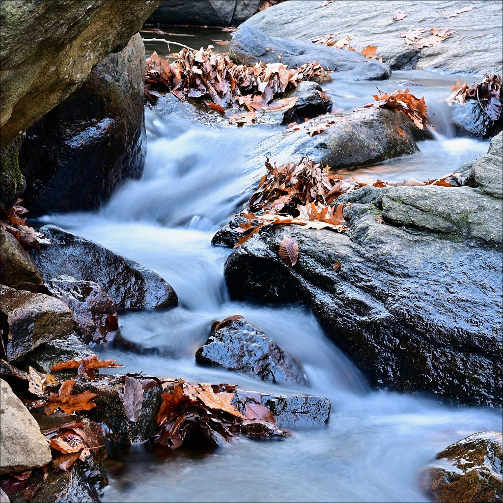 Hedden County Park