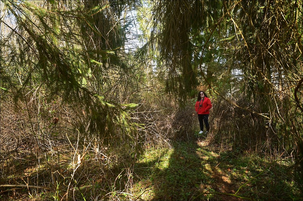 Along The Columbia Trail