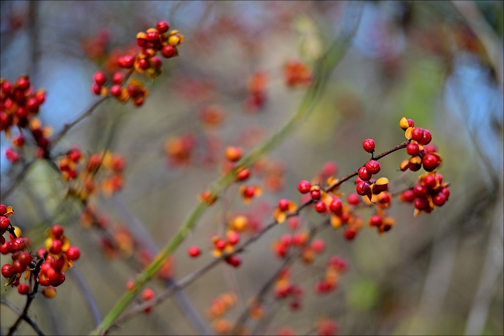 Along The Columbia Trail