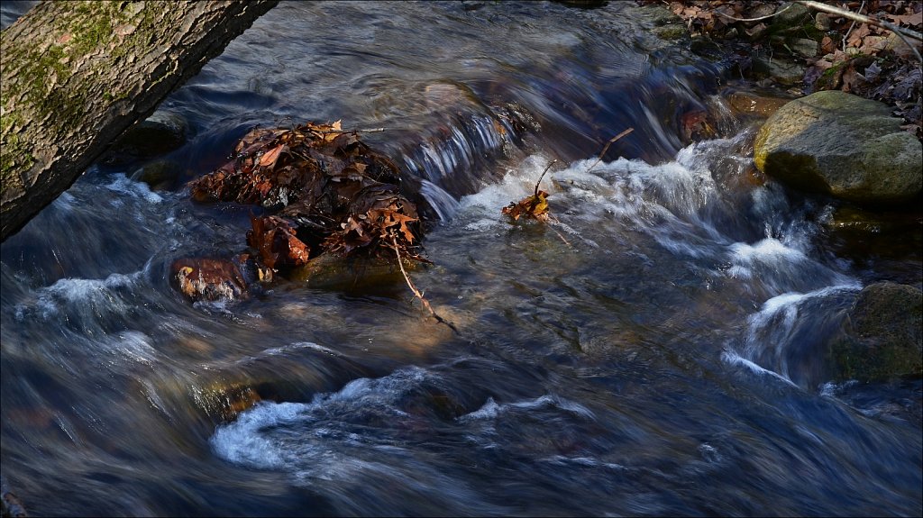 Along The Columbia Trail