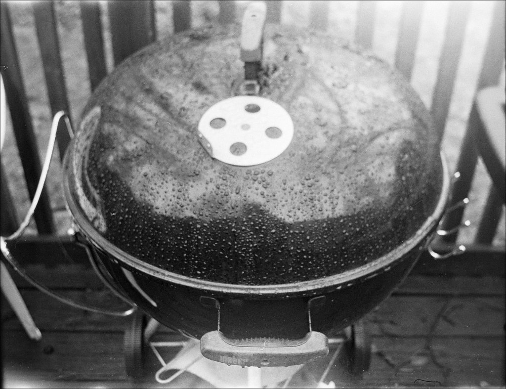 2020160F-Roll-A-3-Minolta-Autopak-700-Kodak-Tmax-100.jpg