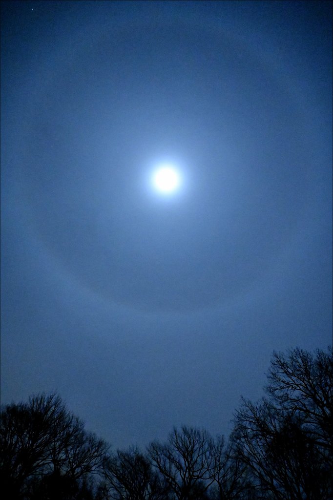 Winter Halo Moon