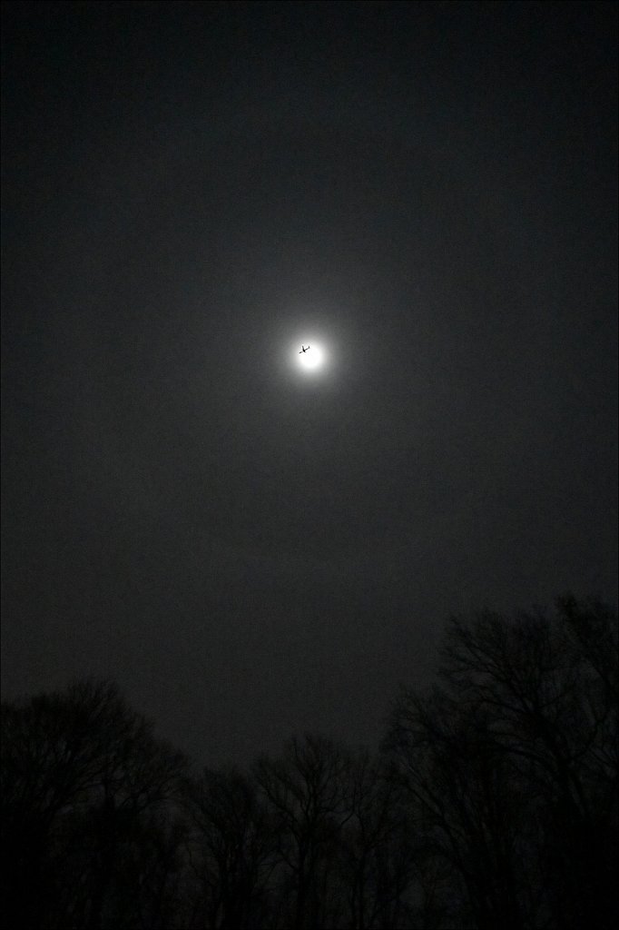 Winter Halo Moon