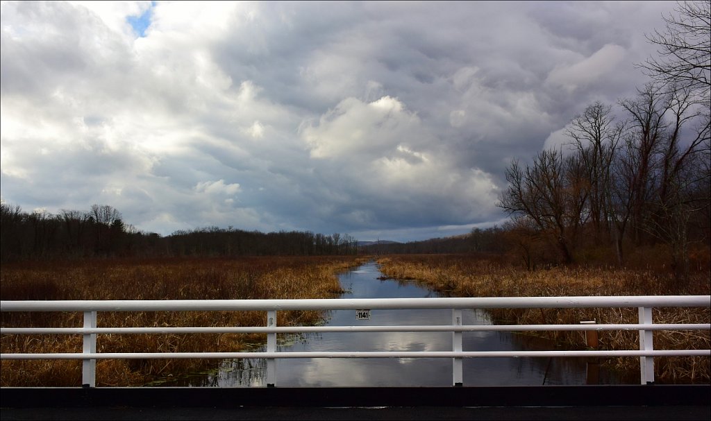 Black River Wildlife Management Area