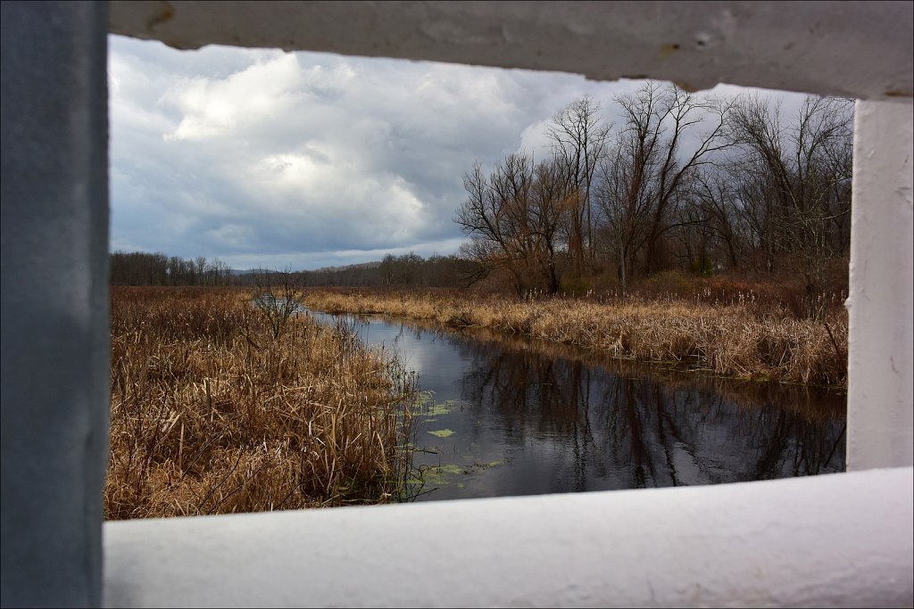 Black River Wildlife Management Area