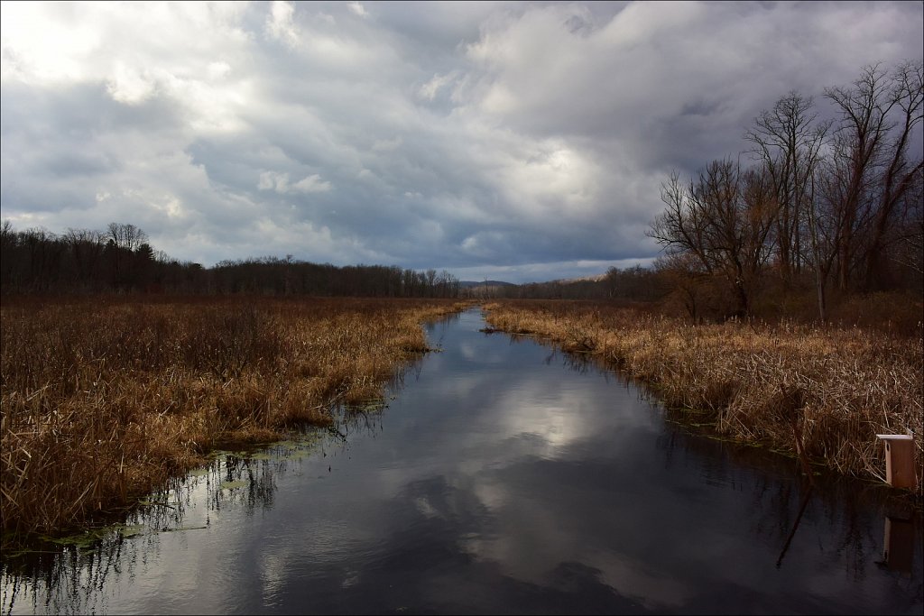 Black River Wildlife Management Area