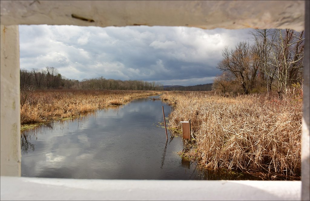 Black River Wildlife Management Area