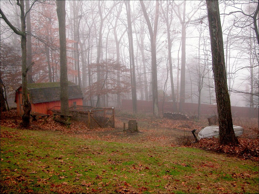 2020175F-DSCN1506.jpg