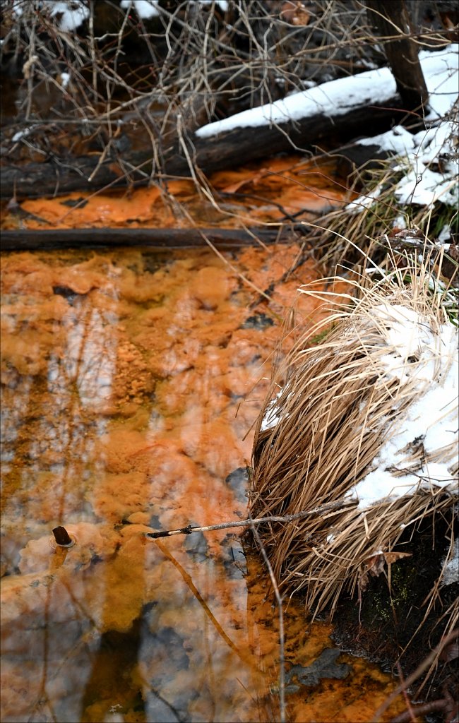 Allamuchy Mountain State Park 