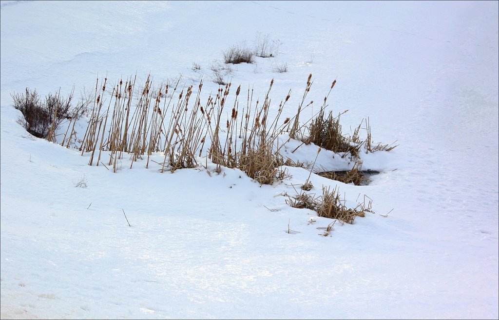 Turkey Brook Park Under Snow