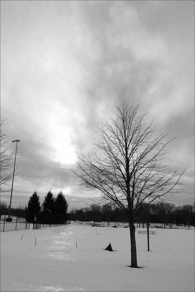 Turkey Brook Park Under Snow