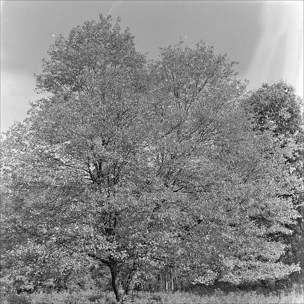 Schooley's Mountain Park