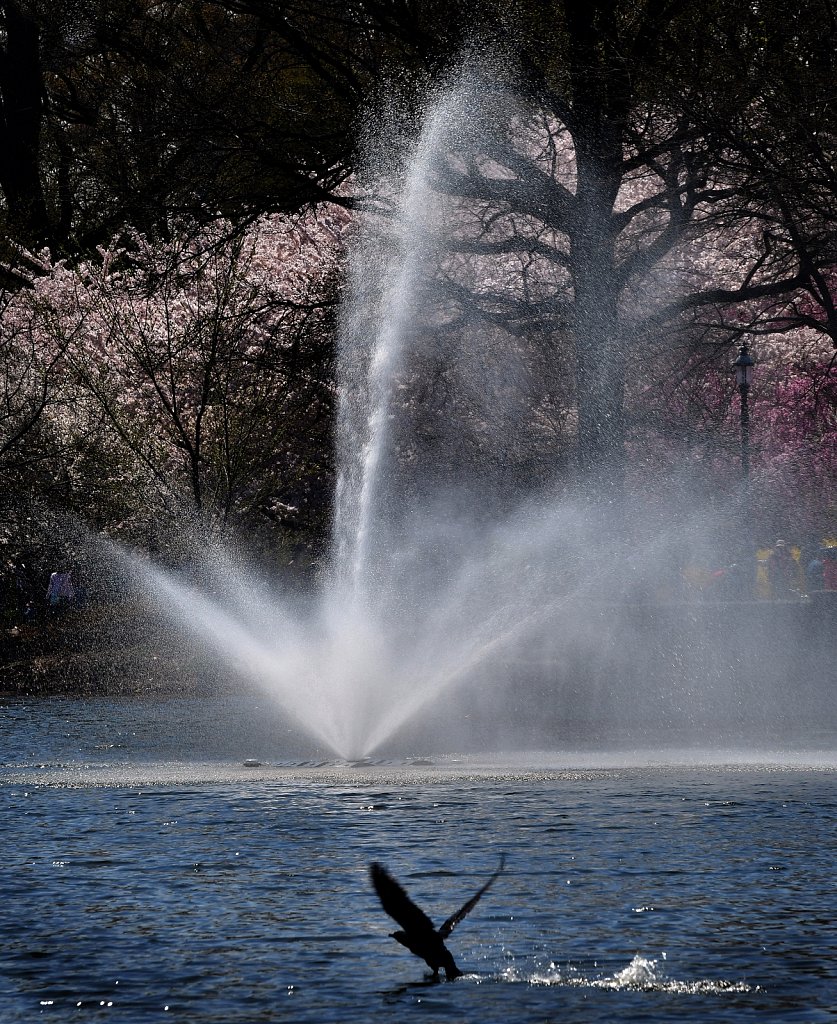 Branch Brook Park