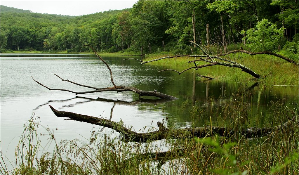 2021 Upstate NY
