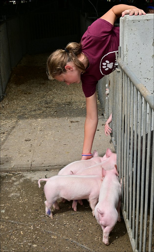 2021 Delaware County Fair