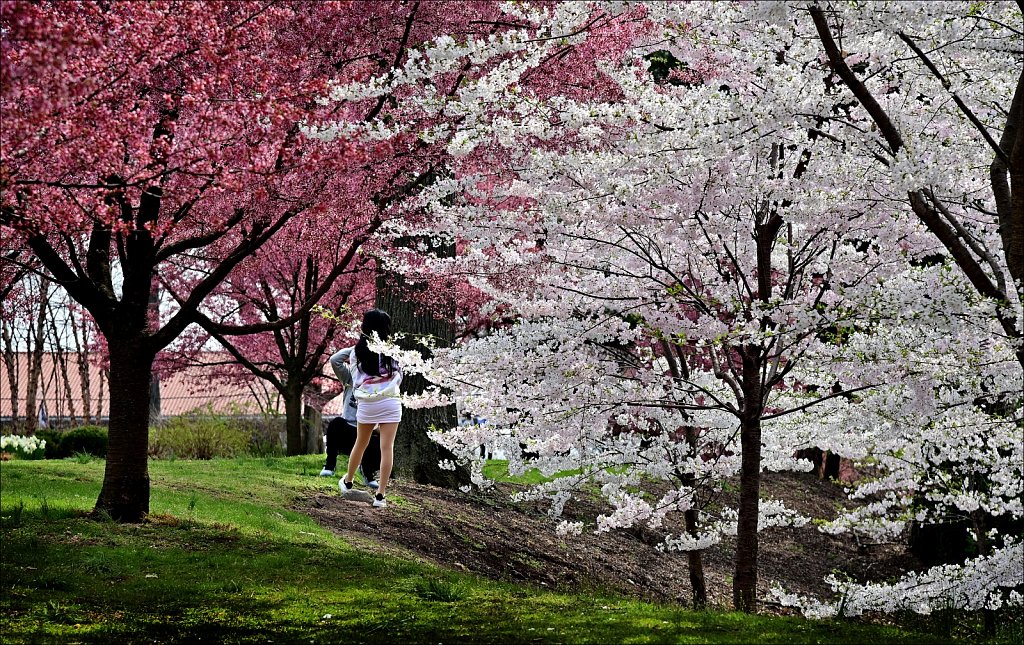 Branch Brook Park