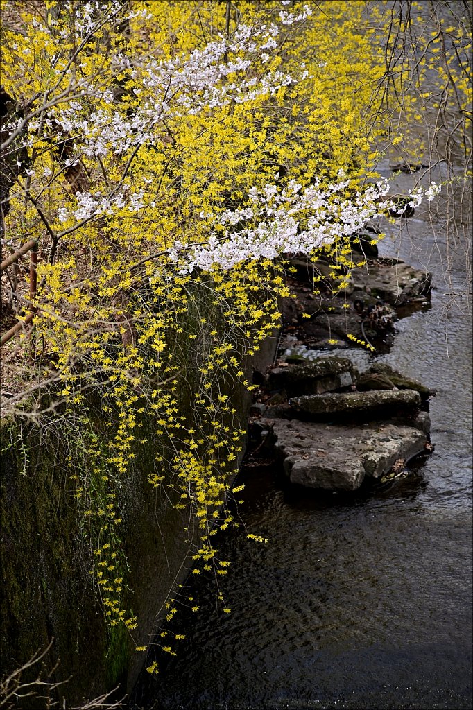 Branch Brook Park