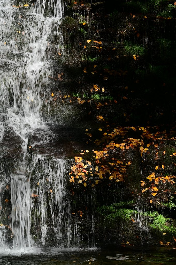 Russell Brook Falls  