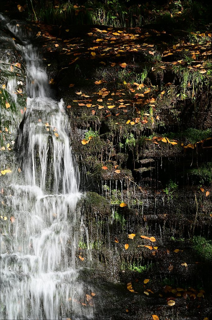 Russell Brook Falls  