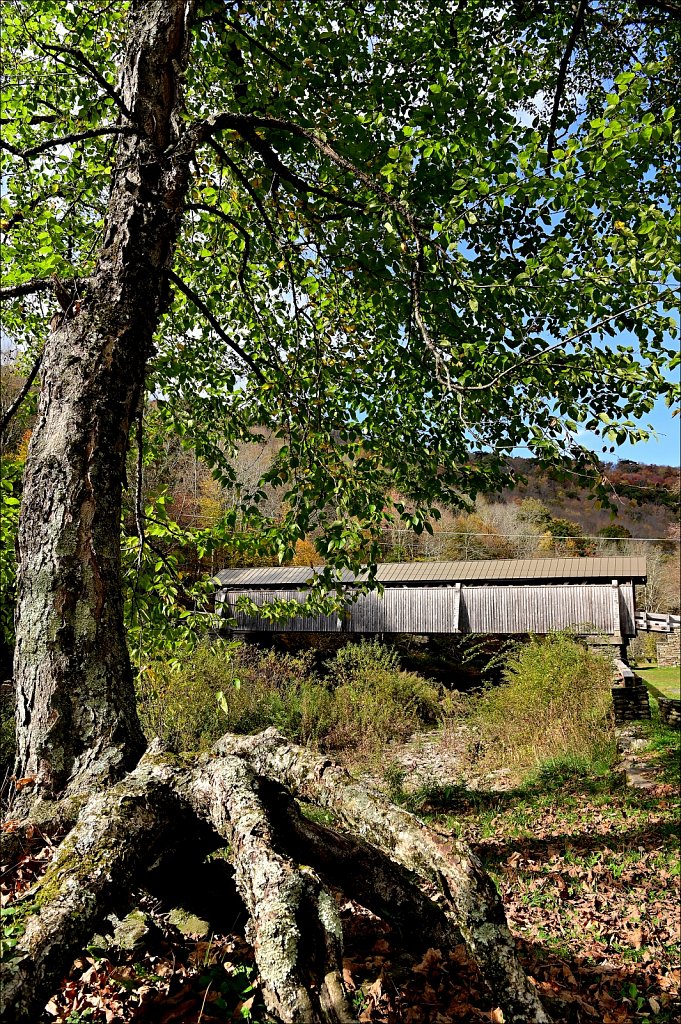 Beaverkill Covered Bridge 