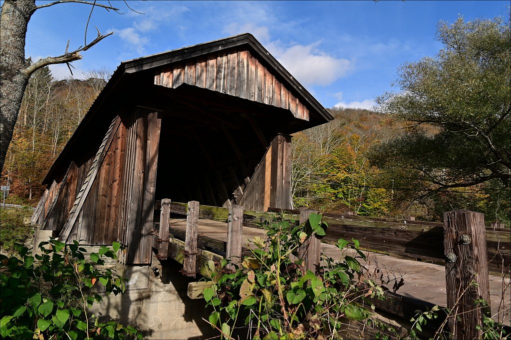 Livingston Manor Covered Bridge