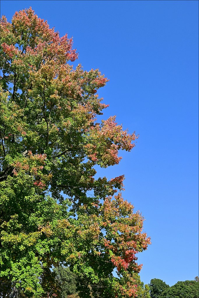 Schooley's Mountain Park 