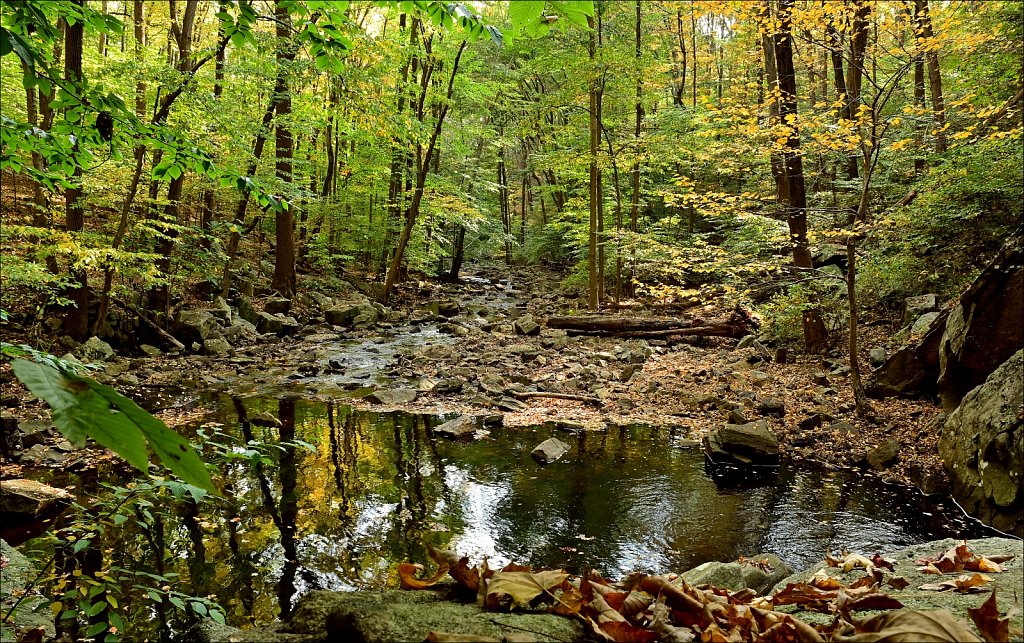 Schooley's Mountain Park