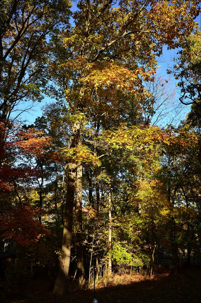 Autumn 2022