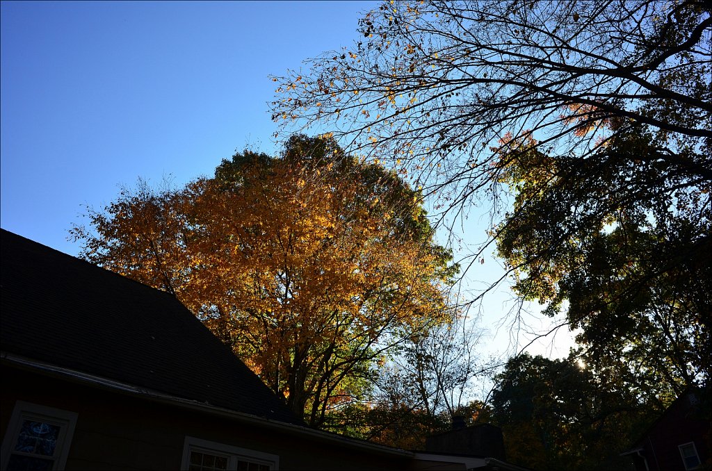 Autumn 2022