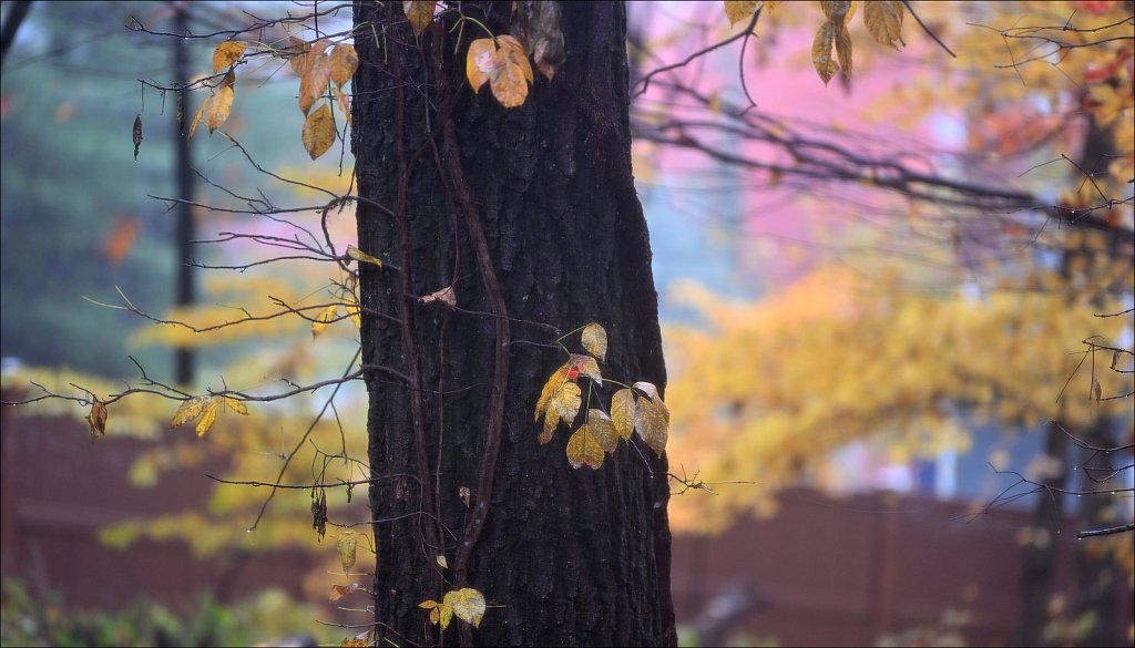Autumn 2022
