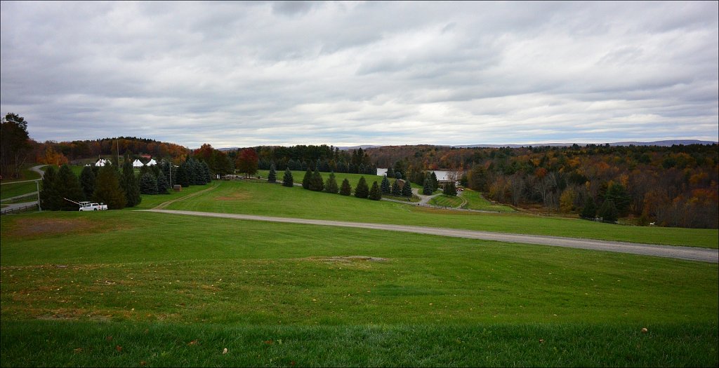  Bethel Woods Center for the Arts 