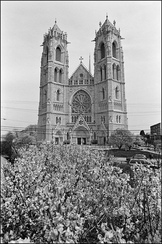 Cathedral Basilica of the Sacred Heart 