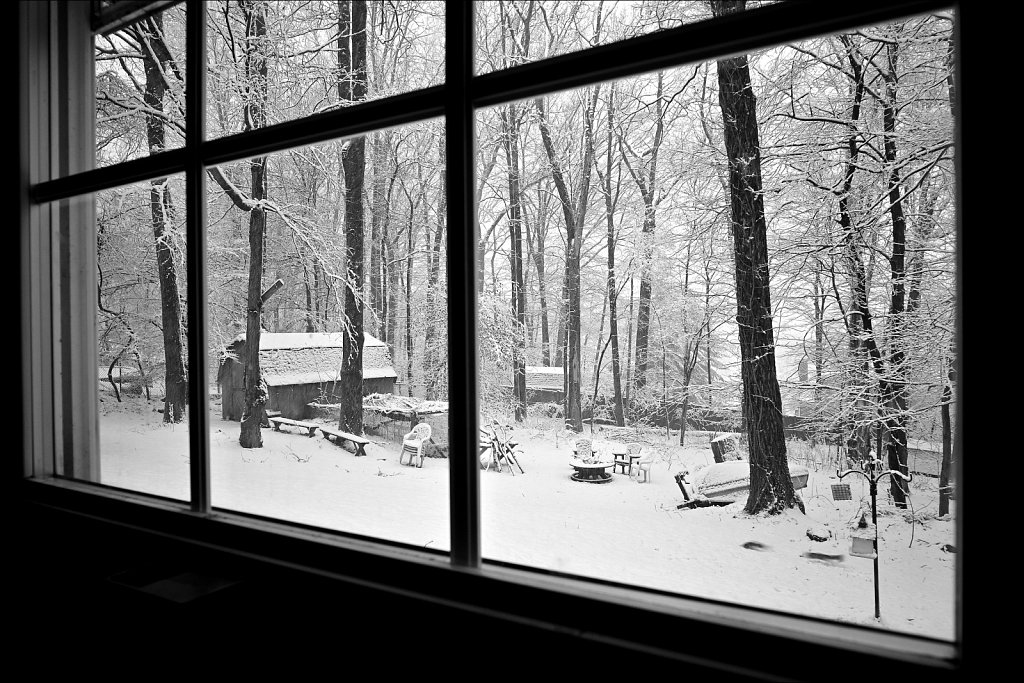 Backyard Snow