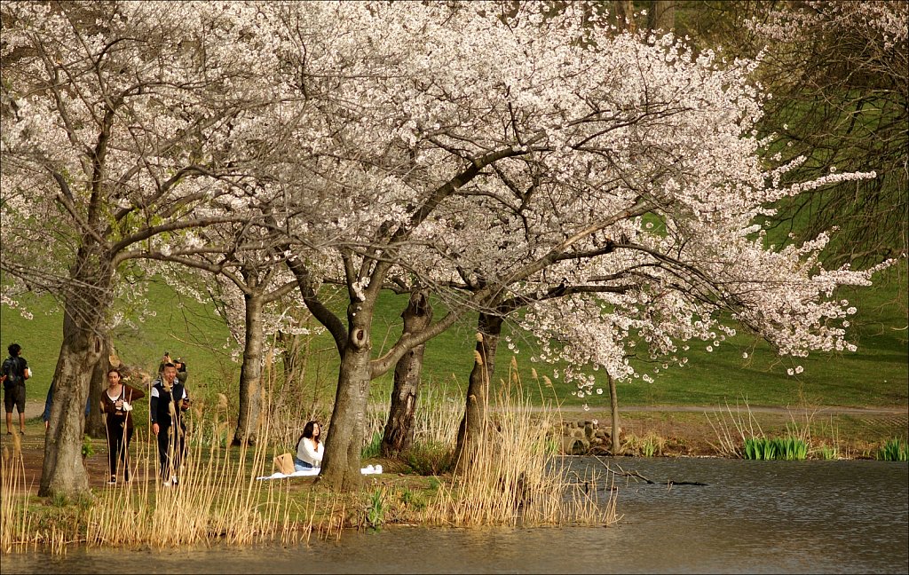 Branch Brook Park