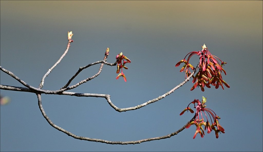 Around Barbour Pond