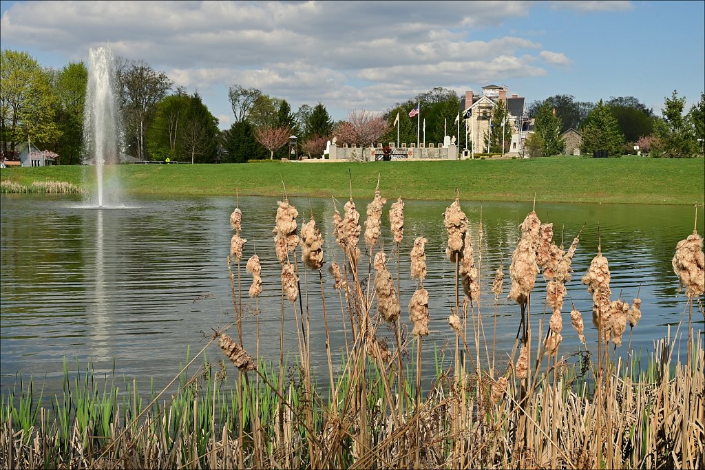 Turkey Brook Park