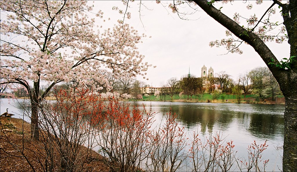 Branch Brook Park