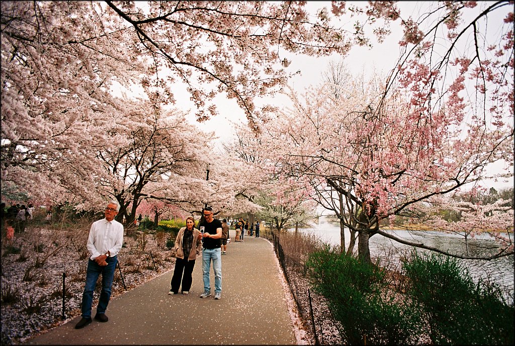 Branch Brook Park