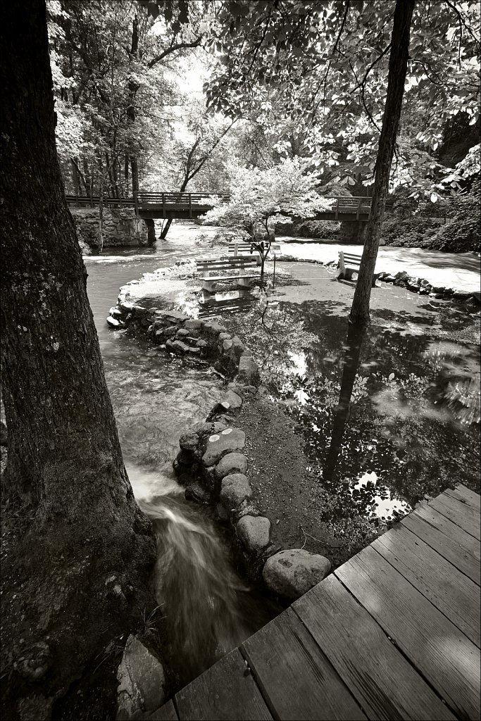 Stephen State Park