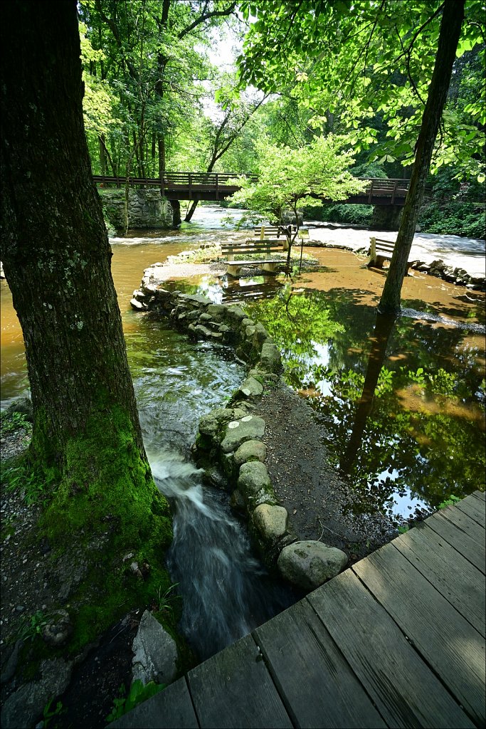 Stephen State Park