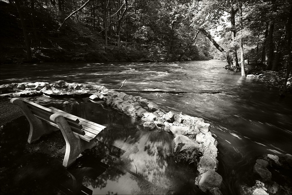 Stephen State Park