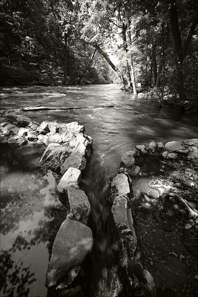 Stephen State Park
