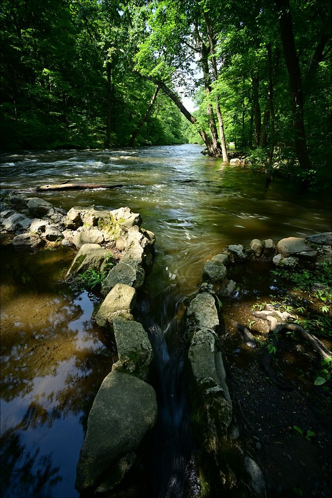 Stephen State Park