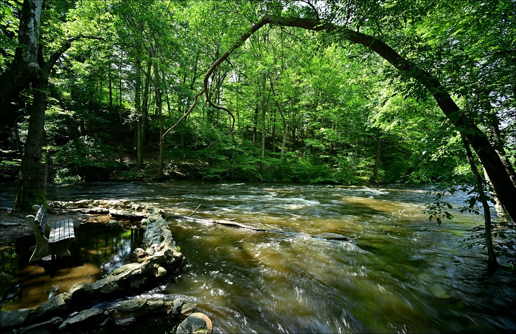 Stephen State Park