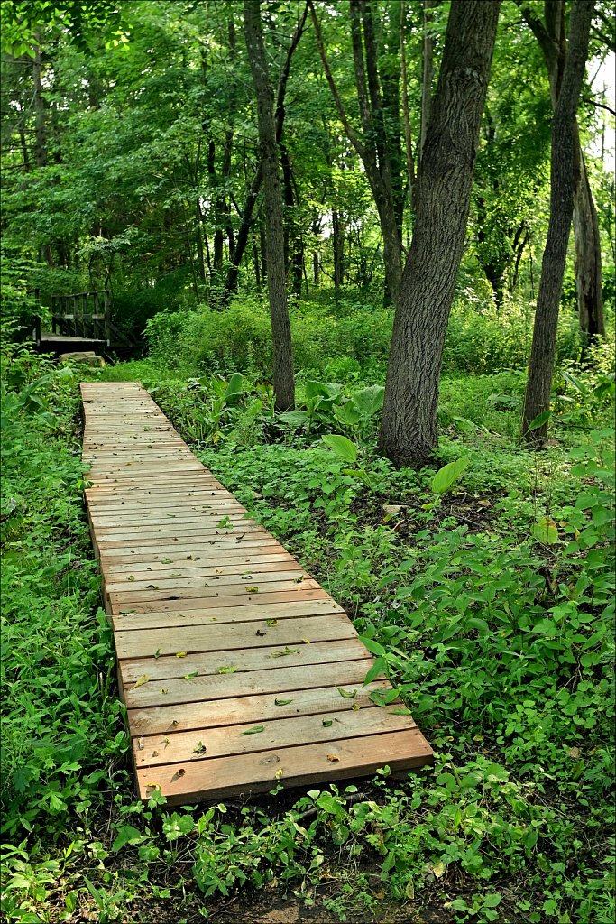 Along the Columbia Trail