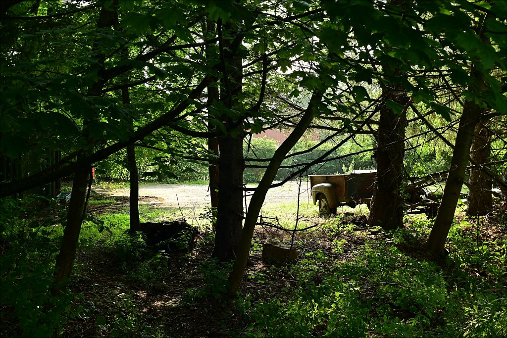 Along the Columbia Trail