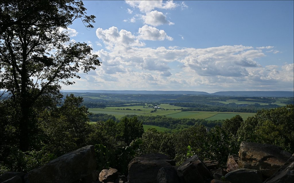 Little Ridge Vineyards