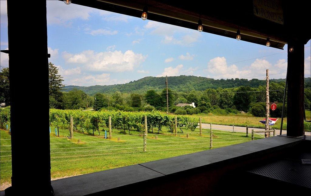 Little Ridge Vineyards